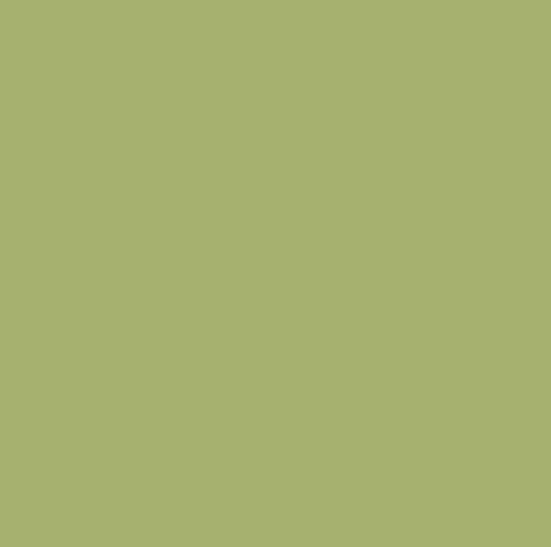 Apple Green – Rit Dye