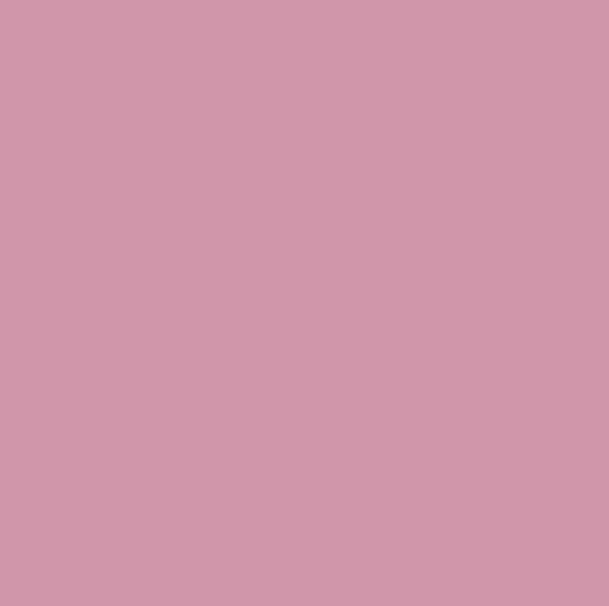 Petal Pink – Rit Dye