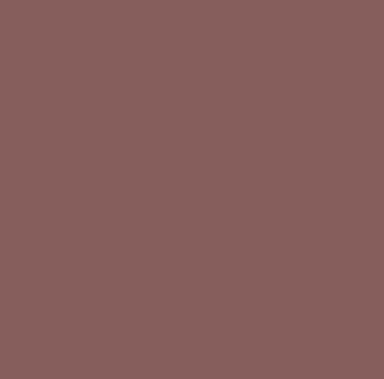Cocoa Brown – Rit Dye