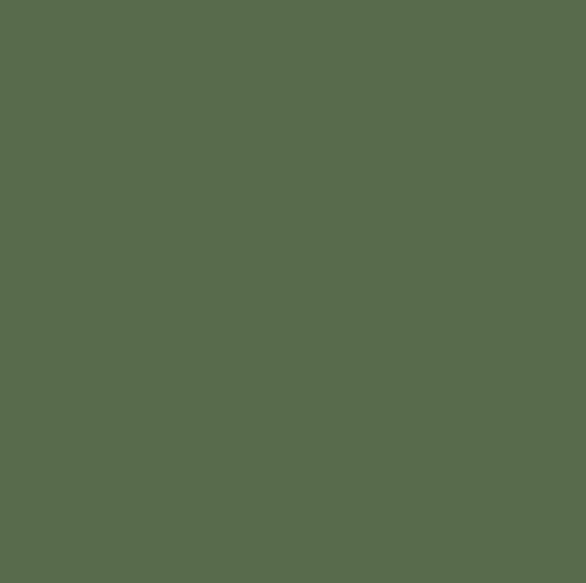 Forest Greenery Rit Dye