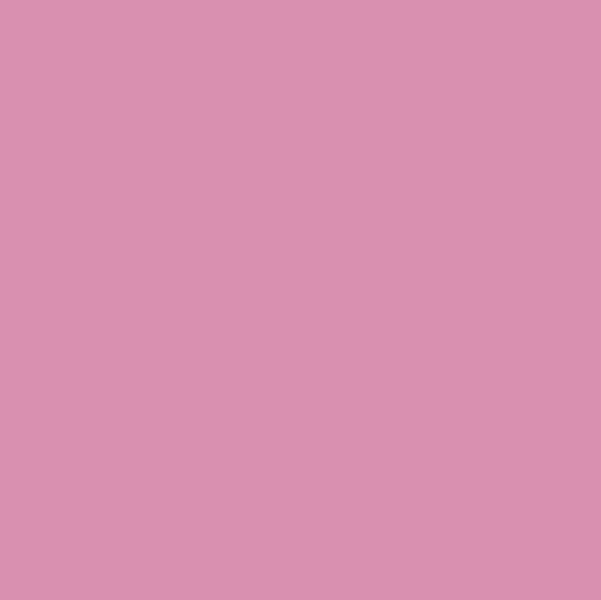 Pale Pink – Rit Dye
