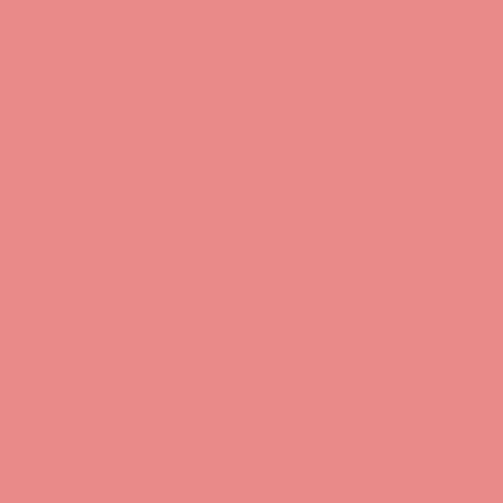 Pink Coral – Rit Dye