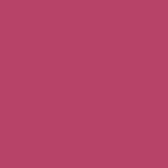 Neon Pink ProLine – Rit Dye